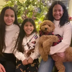 central-park-puppies-instagram-story-54